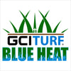 GCI Turf Blue Heat Grass Seed